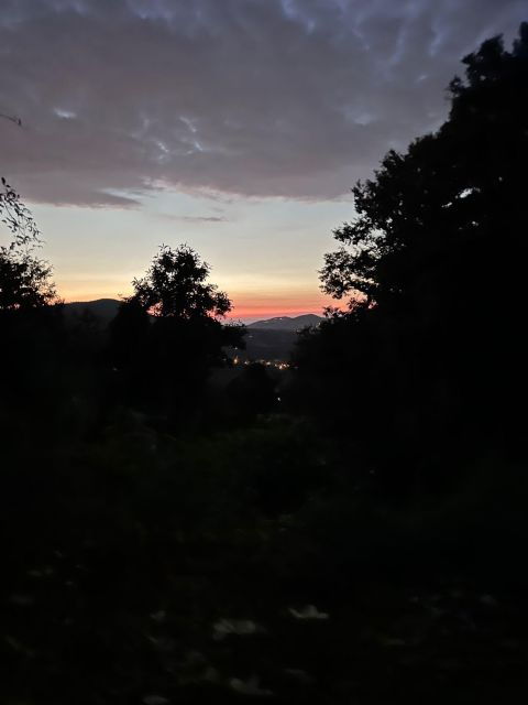Night Trekking With Dinner in the Nature of the Castles - Good To Know