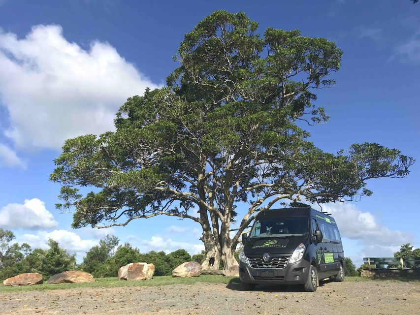 Noosa: Hinterland Tour With Gourmet Lunch, Wine & Everglades - Good To Know