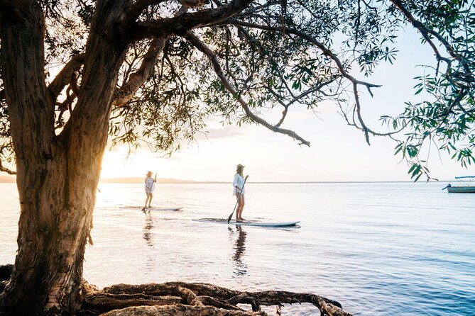 Noosa Hinterland Tour With Gourmet Lunch, Wine Tasting & Everglades Lake - Good To Know