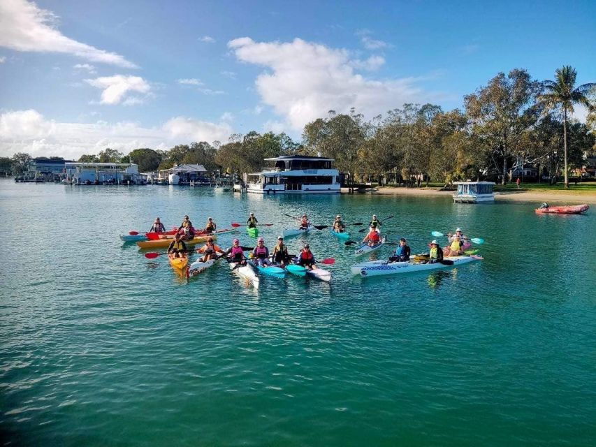 Noosa River: Mangroves and Mansions Guided Kayak Tour - Good To Know