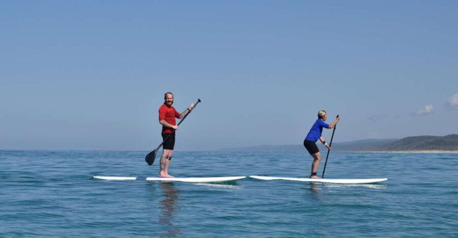 2 Best Canoe And Kayak Experiences In Noosa