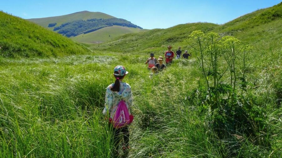 Norcia: Guided Hiking Tour in the Countryside