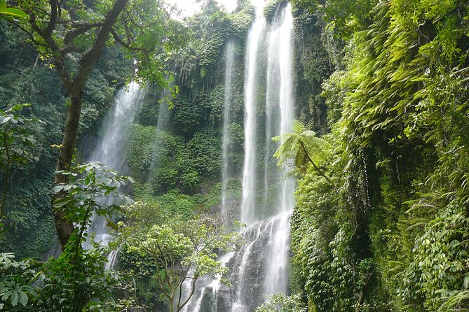 North Bali Tour: Sekumpul Waterfall Hiking & Wanagiri Hidden Hill - Good To Know