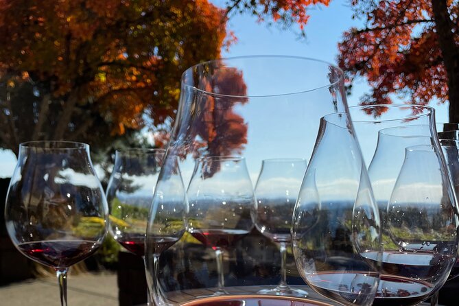Northern Italian Private Wine Tasting Experience in San Francisco