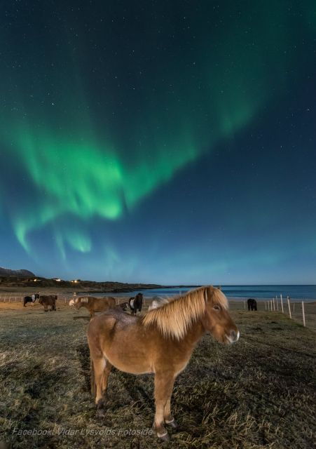 Northern Light on Horseback - Good To Know