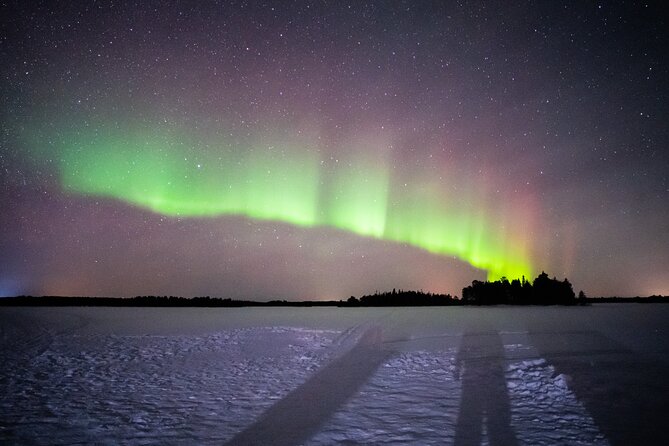 Northern Lights and Barbecue Experience From Rovaniemi - Experience Details