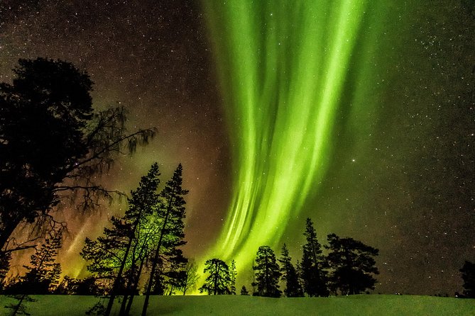 Northern Lights Aurora Tour From Kemi