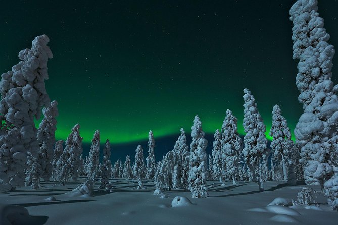 Northern Lights Hunt From Rovaniemi With Folk Tales and Snacks Over Campfire - Good To Know