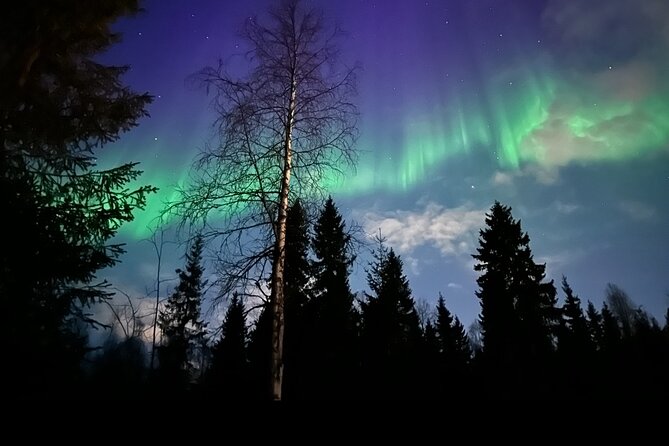 Northern Lights Tour At The Campfire - Good To Know