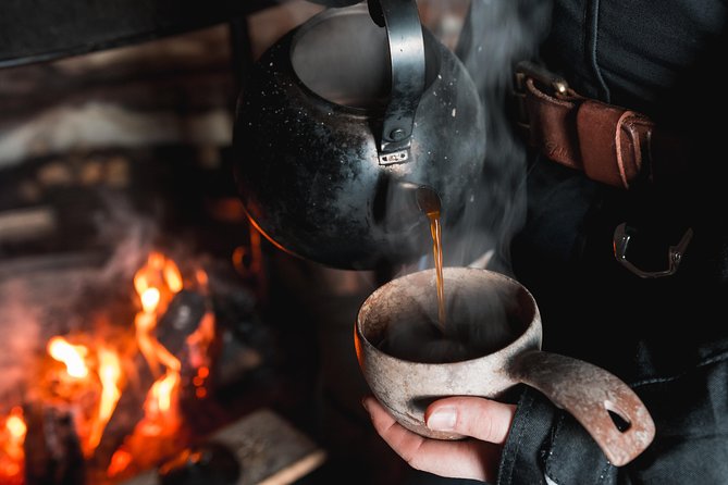 Northern Lights Tour From Rovaniemi With Lappish Picnic - Good To Know