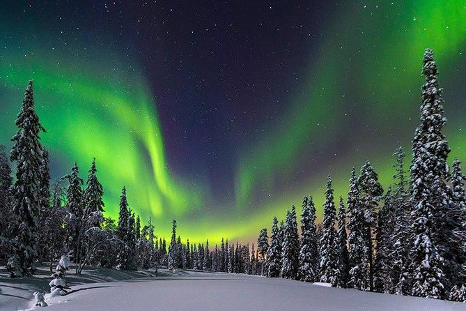 Northern Lights Trip With an Overnight Stay in a Snow Igloo - Good To Know