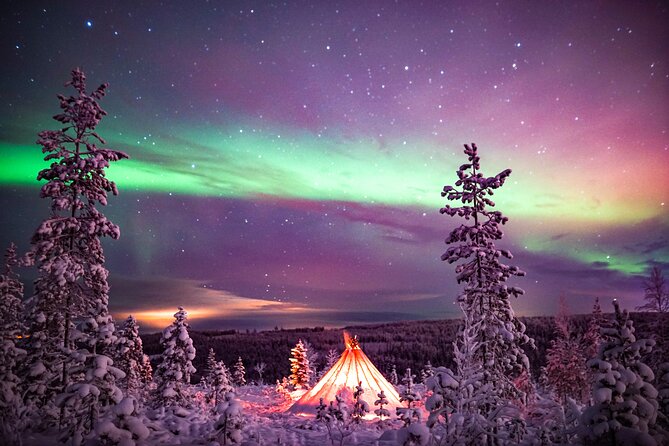 Northern Lights Wilderness Small-Group Tour From Rovaniemi