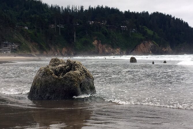 Northern Oregon Coast Day Trip to Three Capes Scenic Loop - Good To Know