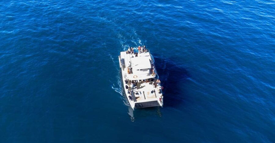 Nuevo Vallarta: Whale Watching Tour on the Triton Catamaran