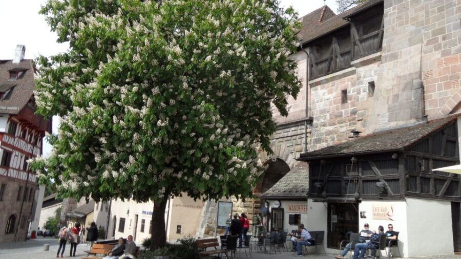 Nuremberg: Self-guided Old Town Discovery Walk for Families