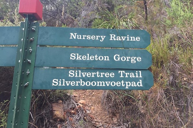 Nursery Ravine - Table Mountain - Good To Know