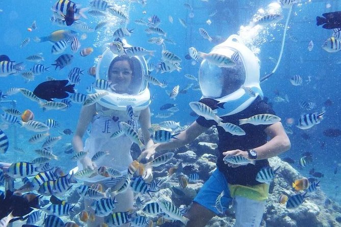 Nusa Dua Sea Walking Experience (Feb ) - Booking Details and Pricing