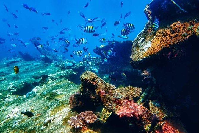 Nusa Penida Escape: Explore Balis Exotic Island Paradise - Good To Know