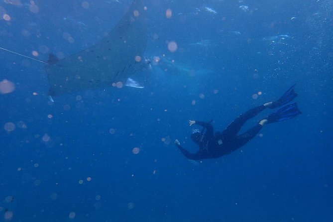 Nusa Penida Island Small-Group Trip With Snorkeling and Lunch  - Seminyak - Good To Know