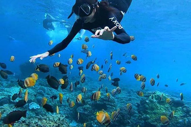 Nusa Penida One Day Tour With Snorkeling - Good To Know