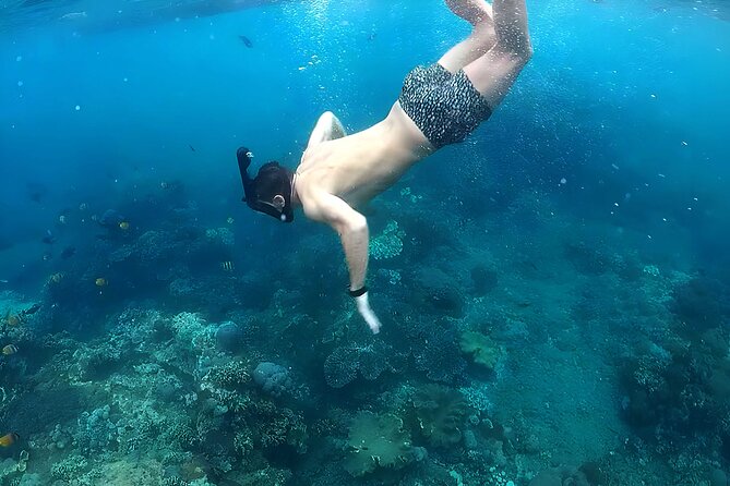 Nusa Penida Snorkeling and Uluwatu Sunset Tour With Dinner - Good To Know