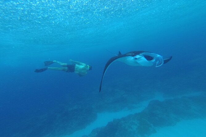 Nusa Penida Snorkling Package