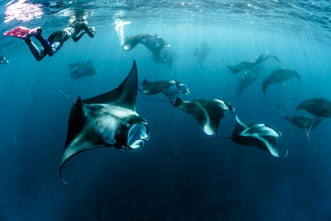 Nusa Penida Tour and 4 Point Snorkeling (INCLUSIVE)