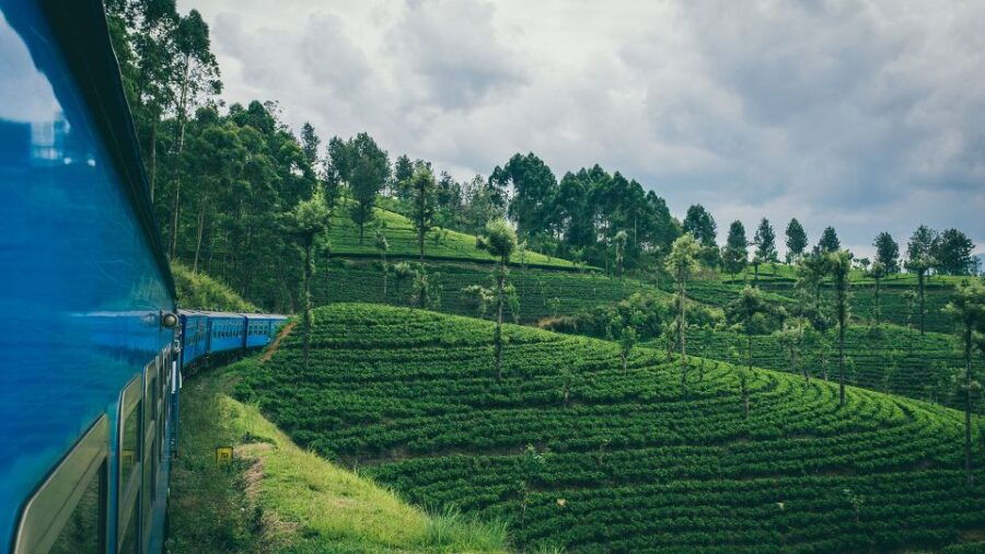 Nuwara Eliya by Train With One Night Stay at Little England