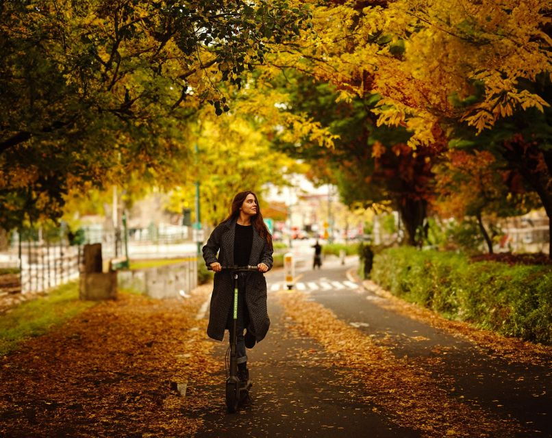 Nyc Electric Scooter Rentals - Good To Know