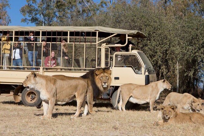 O R Tambo International Airport: Sandton, Rosebank and Melrose - Exploring Sandton: a Vibrant Business District