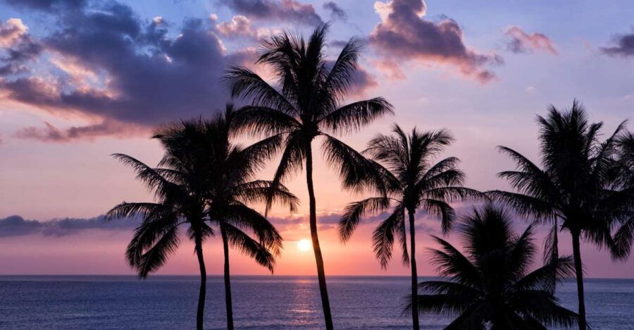 Oahu: Half-Day Sunset Photo Tour From Waikiki - Good To Know