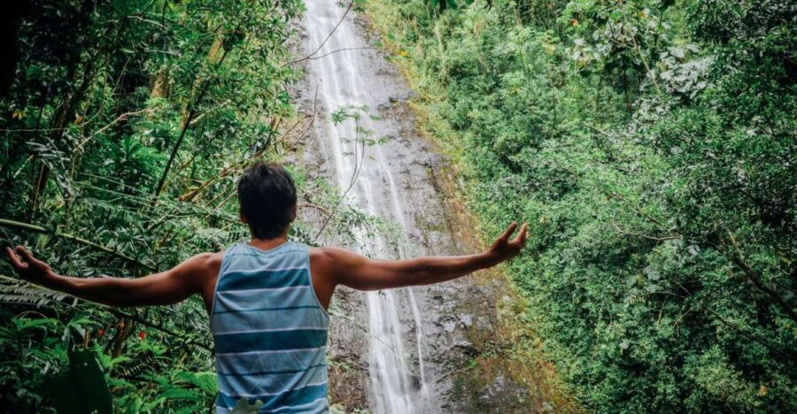 Oahu: Manoa Falls Waterfall Hike With Lunch and Transfers - Good To Know