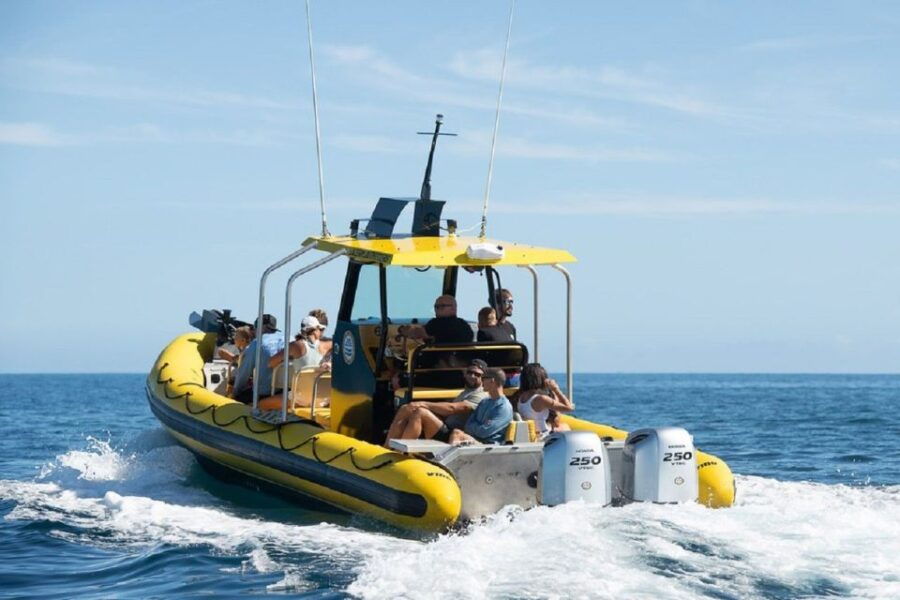 Oahu: North Shore Marine Life Tour From Haleiwa