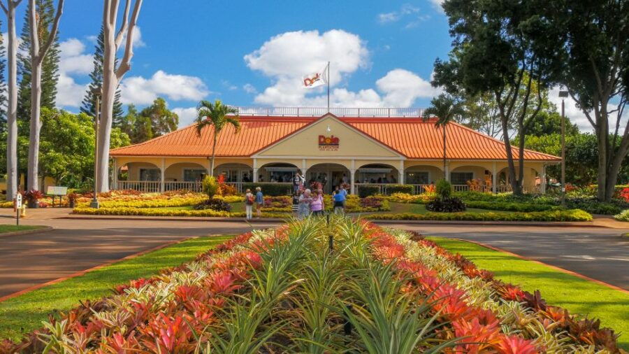 Oahu: Oahu Ultimate Grand Circle Island Tour