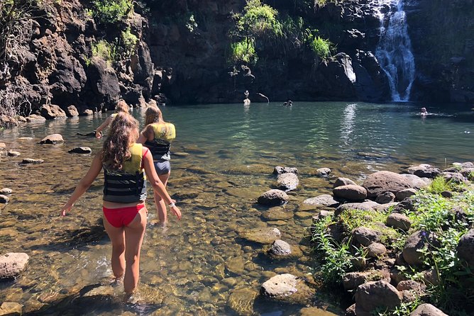 Oahu Private Circle Island Surf and Sea Turtles Tour (Feb )