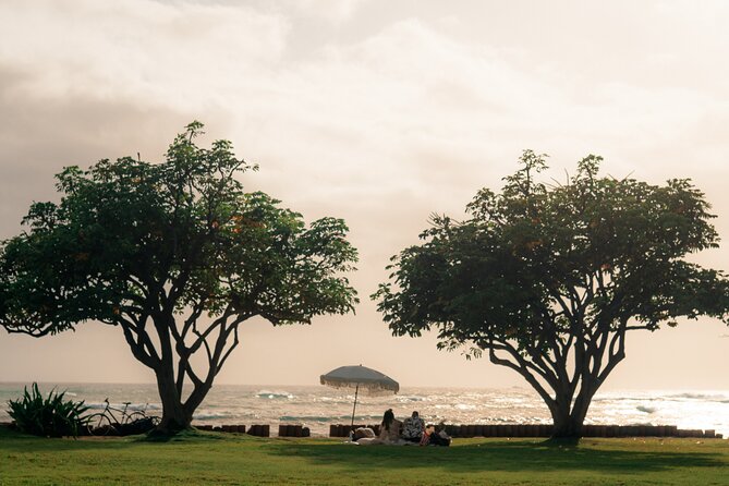 Oahu Private Luxury Beach Picnic - Good To Know