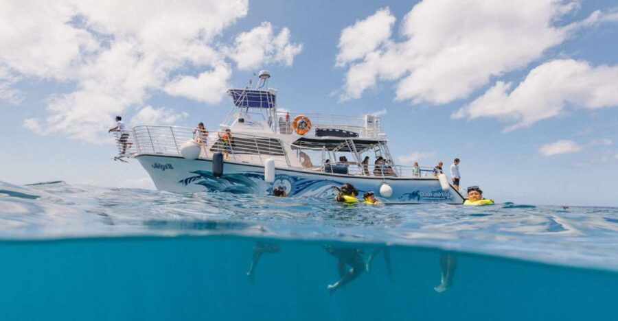 Oahu: Turtle Canyon Snorkeling & Hula Dance