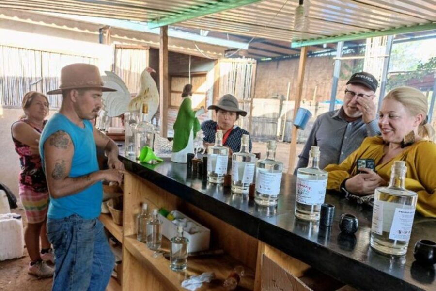 Oaxaca: Ancestral Mezcal Tasting in Ocotlan Valley - Good To Know