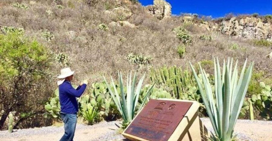 Oaxaca: Exclusive Private Yagul UNESCO Heritage Site Tour - Good To Know