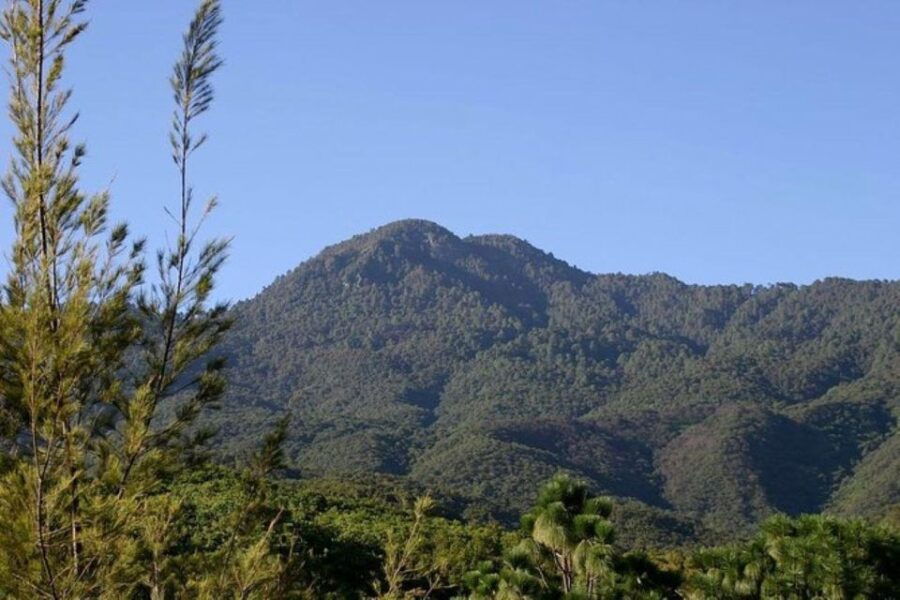 Oaxaca: Forest and Nature Walking Experience - Good To Know