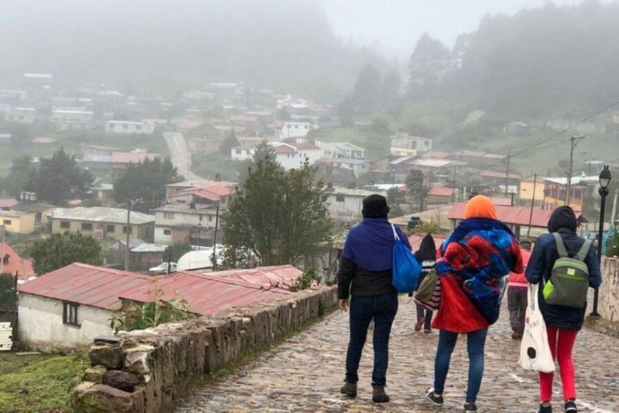 Oaxaca: Zipline, Nature Walk and Gastronomy Tour - Activity Details