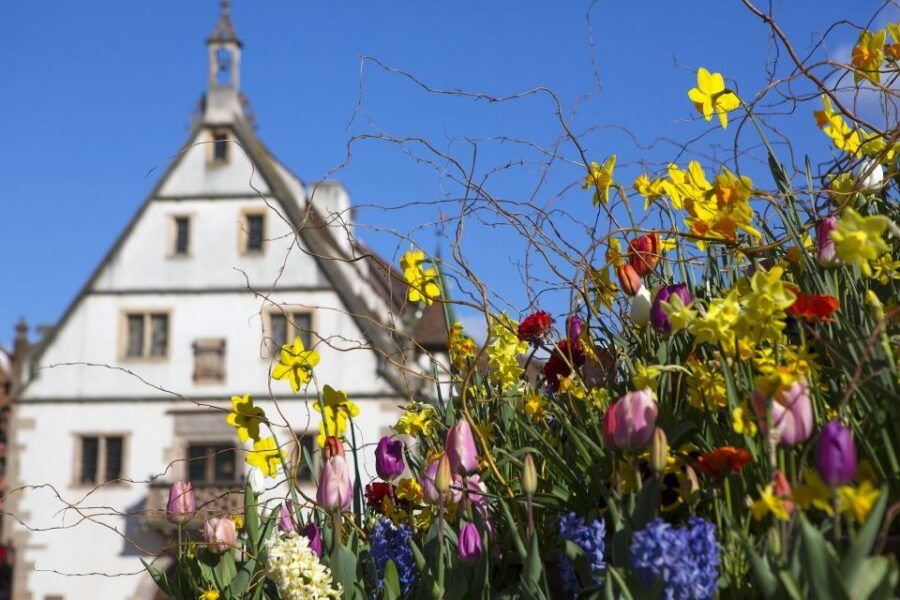 Obernai : City Exploration Smartphone Game - Ticket Information and Experience Details