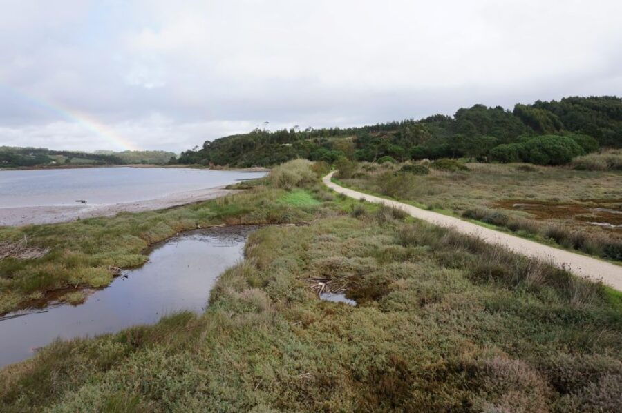 Óbidos Lagoon: Mountain Bike Tour