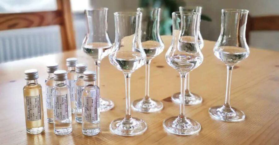 Obstbrand & Gin Tasting in a Traditional Distillery - Good To Know