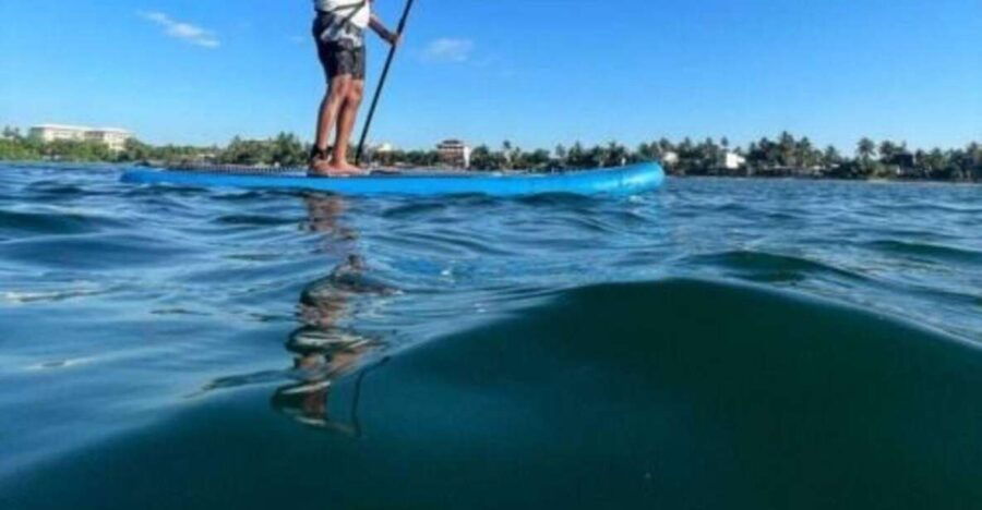 Ocean Paddle Boarding in Galle - Good To Know