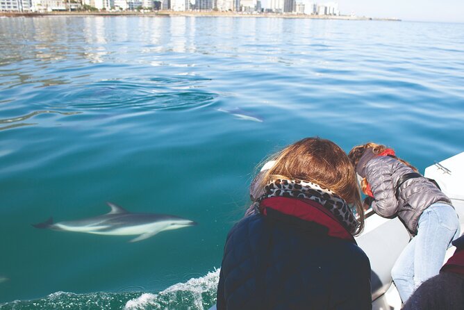 Ocean Wildlife Encounter in Cape Town - Boat Tour Highlights