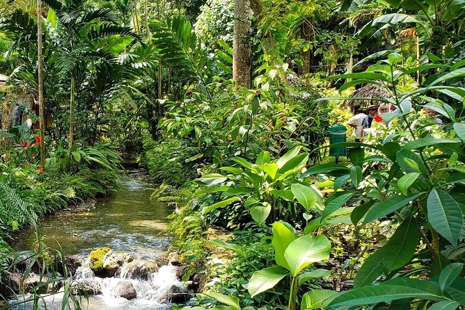 Ocho Rios Highlight & Blue Hole - Full Day Tour