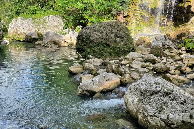 Ocho Rios, St Mary and Portland Full Day Sightseeing Tour - Good To Know