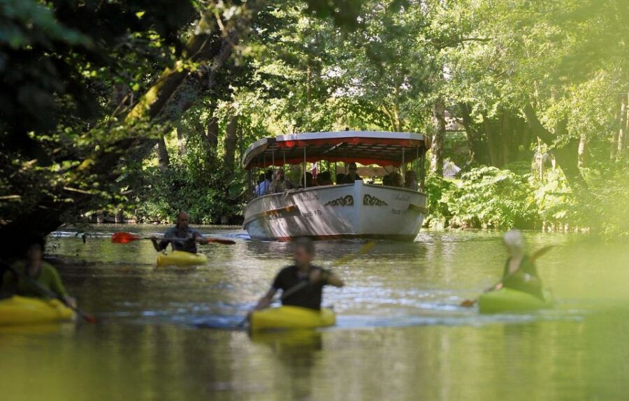 Odense: River Cruise on the Odense River - Good To Know
