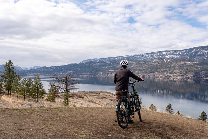 Okanagan Lake Views Guided E-Bike Tour With Picnic